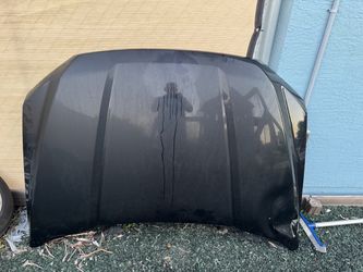 2020 F150 Hood