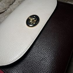 Color Block Coach Purse