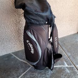 Big Bertha CALLOWAY golf Bag
