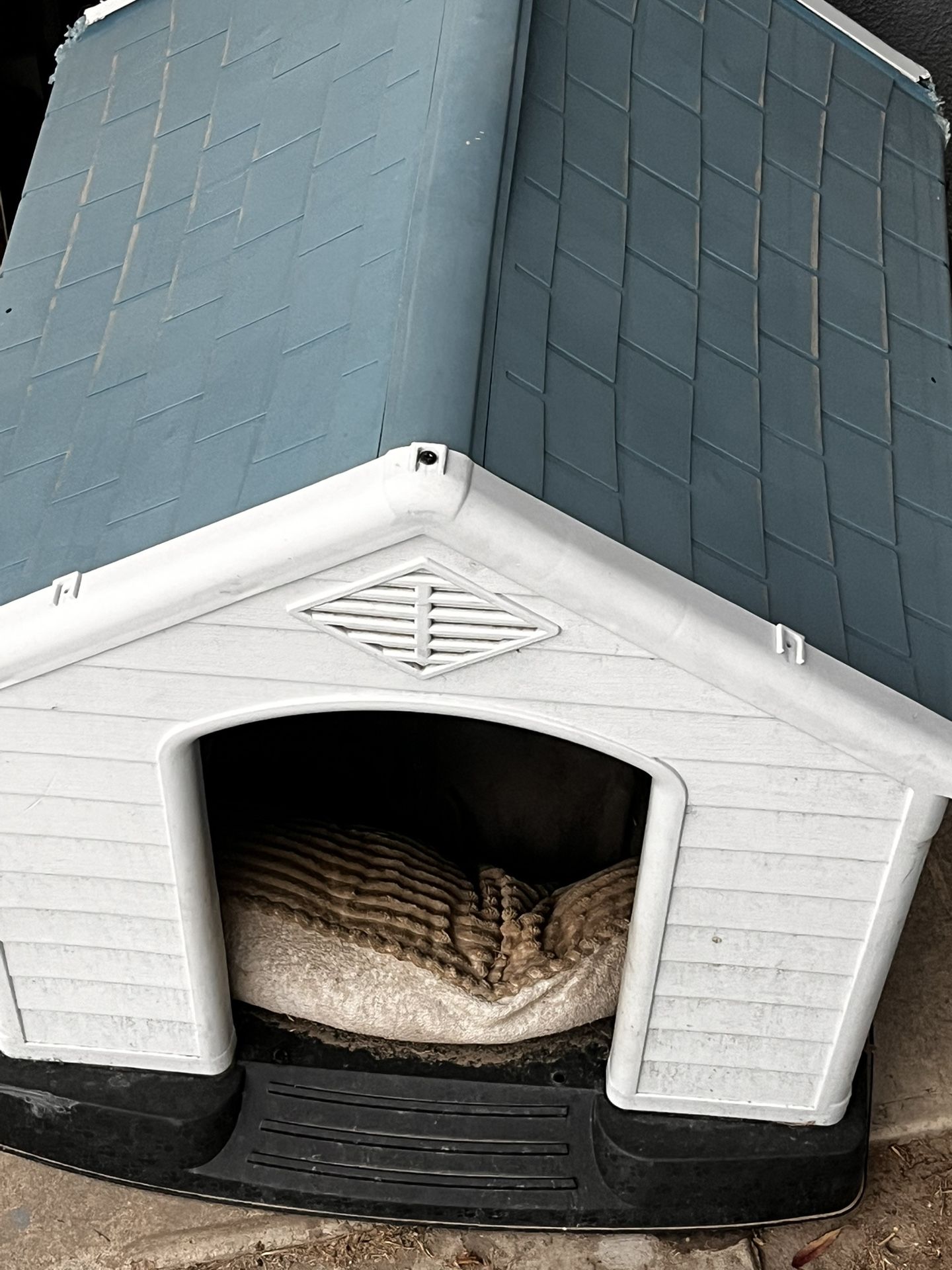 Dog House