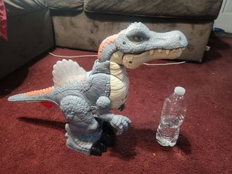 Dinosaur