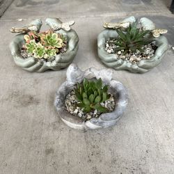 Cupped Cement Hands 🙌 Arrangements $