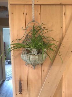 Wall hanging plant holder