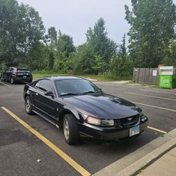 2003 Ford Mustang