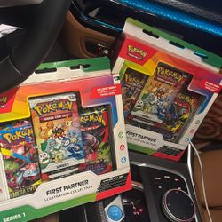 First Partner Illustration Collection Pokemon