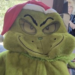 MR Grinch Costume