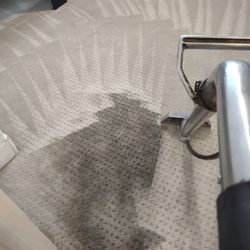 Carpet Cleaner 