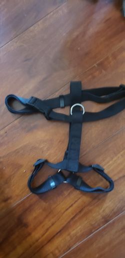 Harness