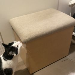 Ottoman With Storage