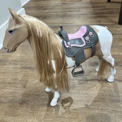 OG America Girl; Horse