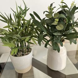 Faux House Plants