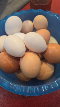 Eggs/huevos