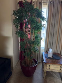 Faux Bamboo Plant w/ Beautiful Red Pot