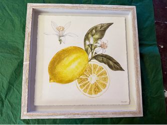 Marmont Hill Artist Lemons Print White Wash Wooden Frame 12x12