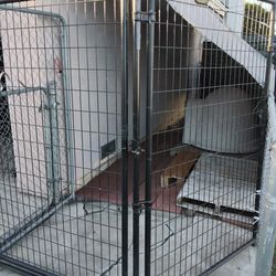 Dog Kennel