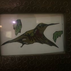 Portrait Of A Hummingbird Handmade Placed In A Beautiful Frame