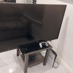 49 inch Vizio Flat Screen TV with Remote