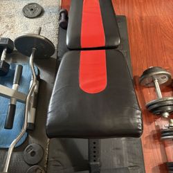 2 Benches , Dumbbells ,2 Curl bars ,1short Bar 