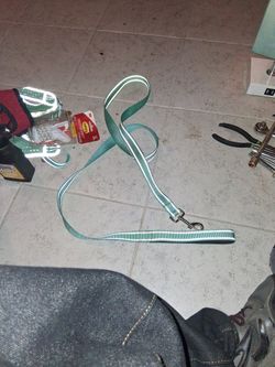 Dog Leash $5