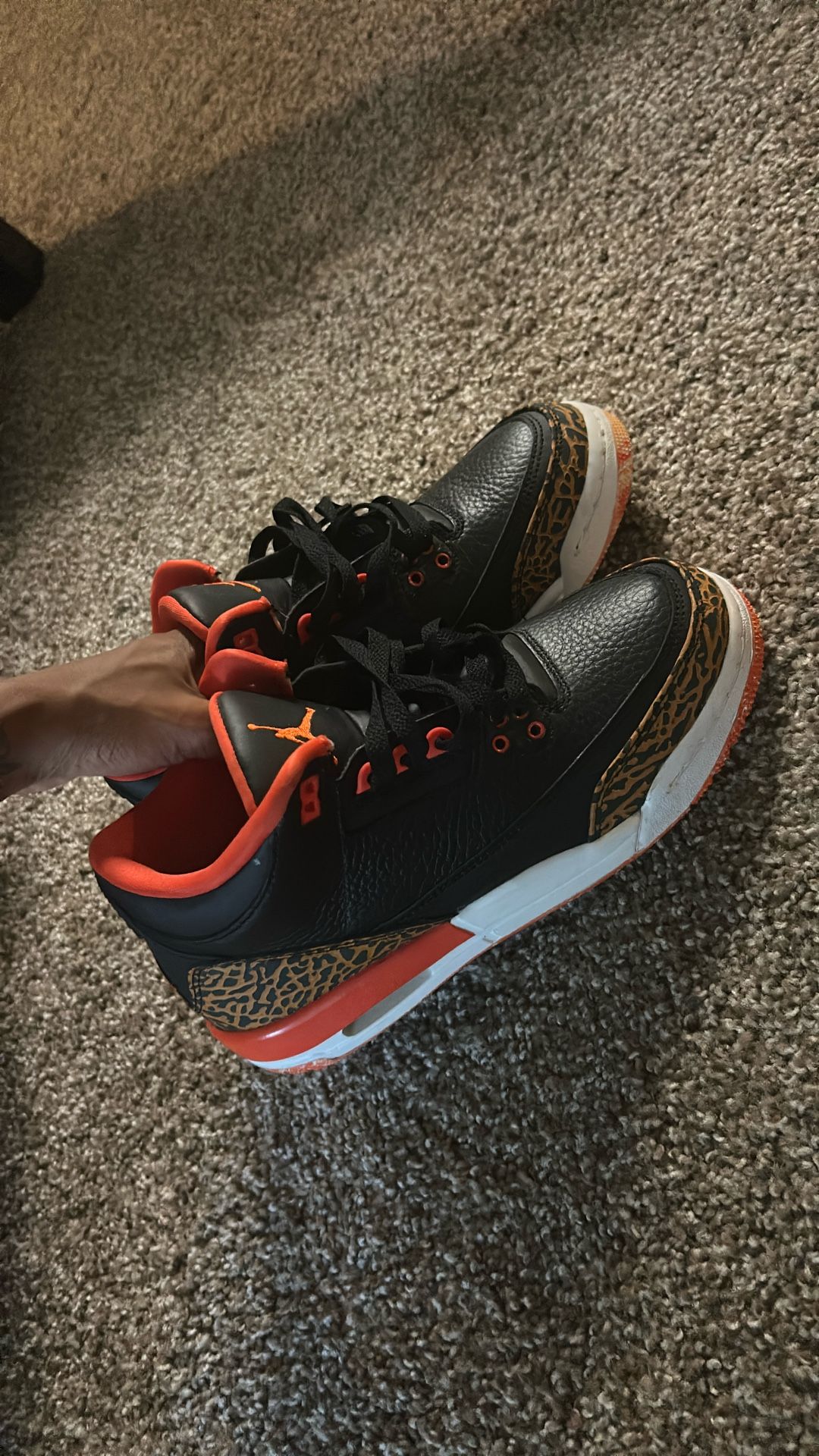 jordan 3s