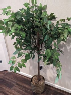 Decorative Tree & Stand