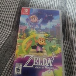 The Legend of Zelda Echoes Of Wisdom