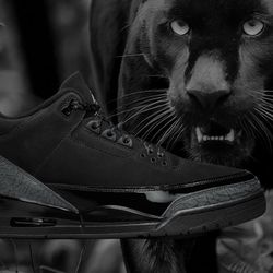 Jordan 3 Black Cat size 10,11,