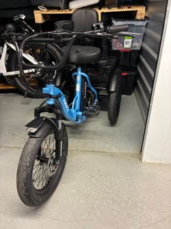 Eskute T300 Trike  (EBike)