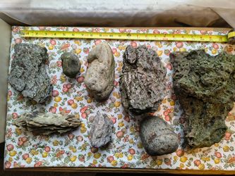 Aquarium wood and rock