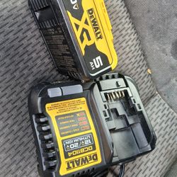 Baterie And Charger Like New