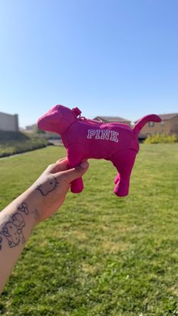 Pink dog with tote bag inside