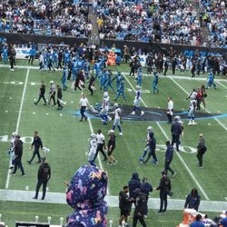 Seahawks VS PANTHERS 