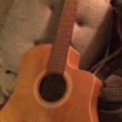 Art And Luthrie Guitar With Case