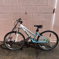 Vintage Haro V1 Series Bicycle