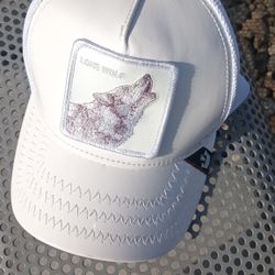 Goorin Bros. The Farm High Shine Faux Leather Snapback Trucker