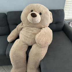 Teddy Bear