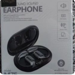 Pavon Earbuds
