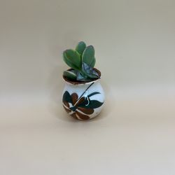 Mini Jarito Planter