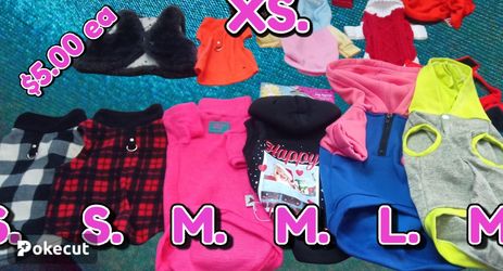 XS,S,,M,L Available Doggy Sweaters