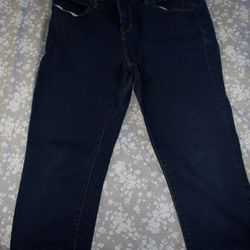 Stylus (Size 14) Skinny Jeans