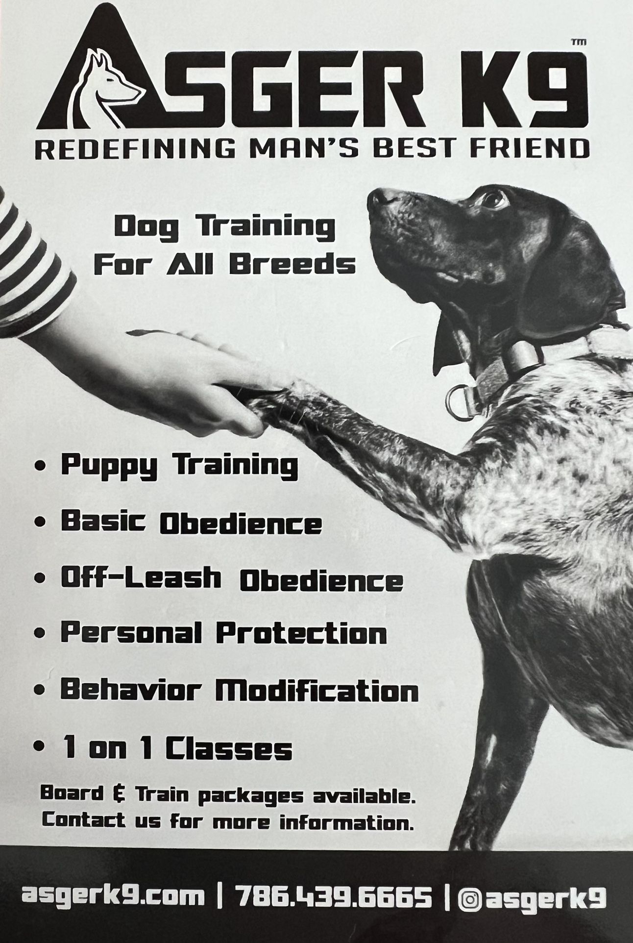 Dog Training