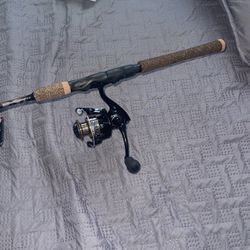 Berkley Lr Lightning Rod 
