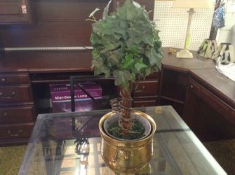 Plant/Tree Bronze pot