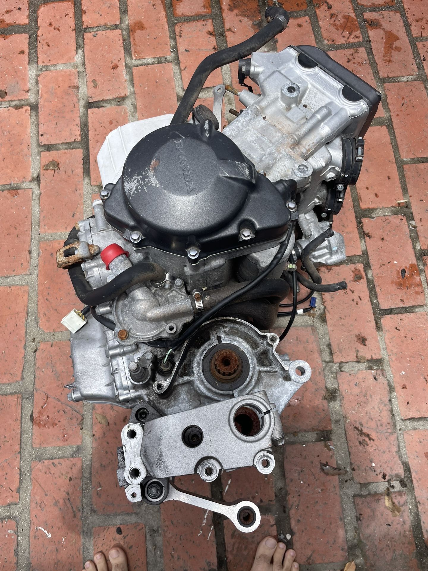 2001 CBR 929 Engine