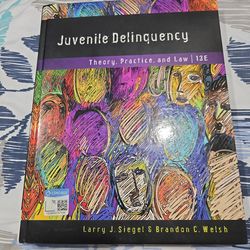 Juvenile Delinquency: Theory, Practice, and Law
13th Edition