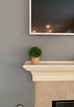 2 set Cute artificial plant new