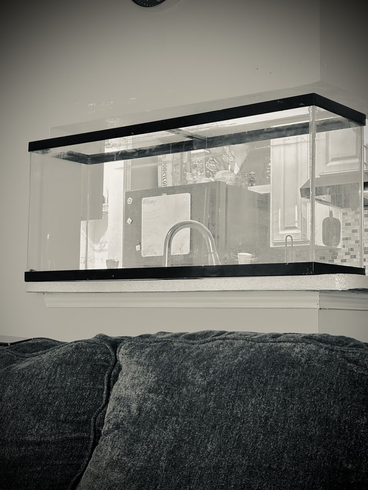 40 Gallon Tank