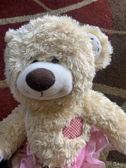 Build a bear champ bear