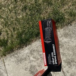 *BRAND NEW* 2 Pc Strut, Coil Spring Assembly