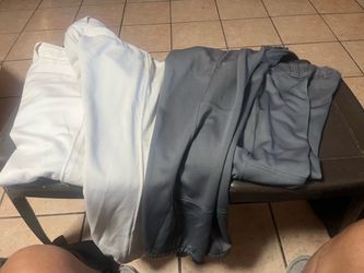 Softball pants